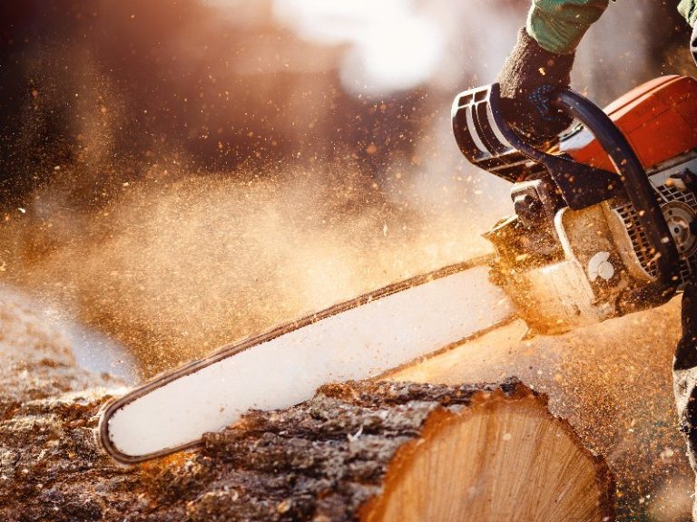Poussières de bois : quels risques pour la santé ?