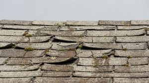 Quand faut-il rénover sa toiture ? Les signaux à ne pas ignorer